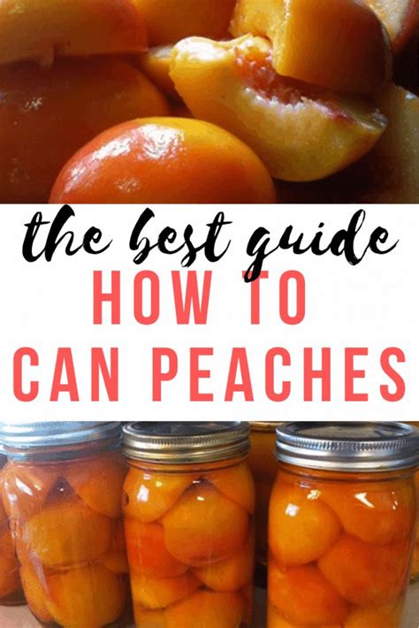 How To Can Peaches An Easy Step By Step Guide Chasing Vibrance Recipe Canned Peaches