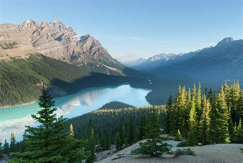 Icefields Parkway Bow Pass Peyto Lake Photograph By John Elk Iii Pixels