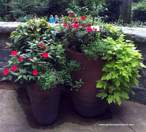 Ideas For Container Gardens