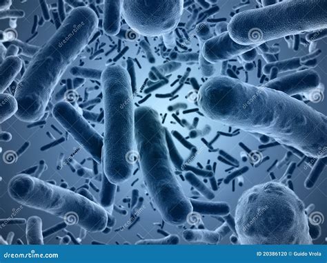 Bacteria Seen Under A Scanning Microscope Stock Photography