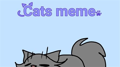 Cats Meme Youtube