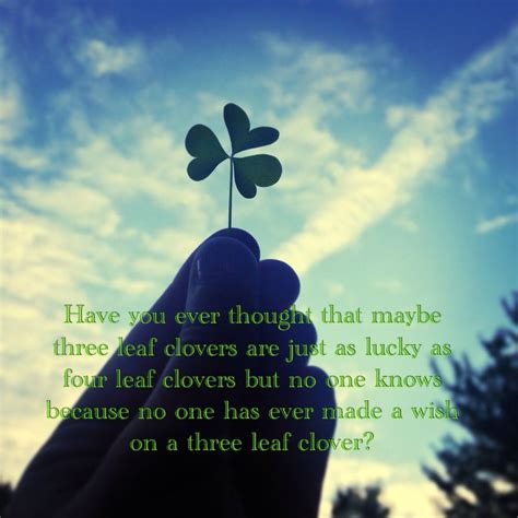 Have You Ever Thought That Maybe Three Leaf Clovers Are Just As Lucky