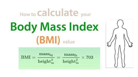 Bmi And Things You Should Know