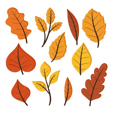 Premium Vector Autumn Leaves Collection