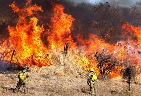 La dramática lucha contra el fuego de un productor cordobés: Incendios en Jalisco, el peor año en medio siglo | Centro ...
