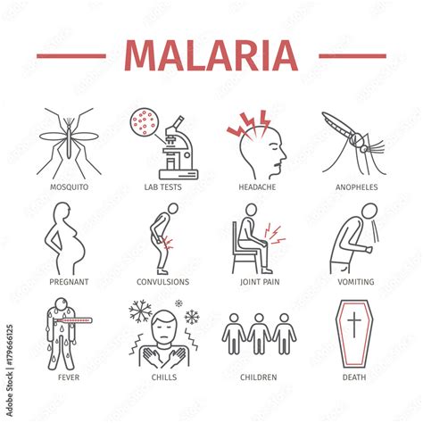 Malaria Line Icon Infographics Symptoms Vector Signs For Web Graphics