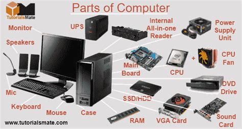 Computer Parts And Functions About Hardware