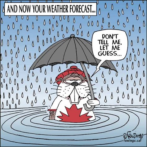 More Rain Fewings Cartoons