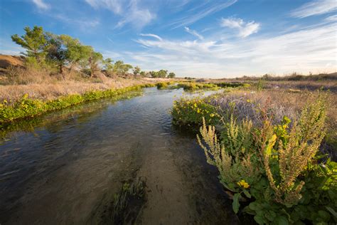 Mojave River - Western Rivers Conservancy