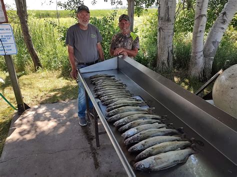 Final Fishing Report Saginaw Bay 8/04/22 Out of AuGres