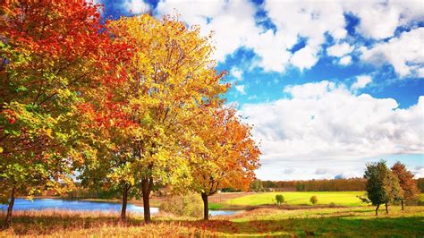 1920x1080 Sky Autumn Trees Bright Blue Clouds Autumn