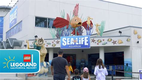 Sea Life Aquarium Reopens At Legoland California Resort Youtube