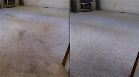 Apartment Carpets Classic Carpet Cleaning