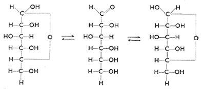 Assal glikose syrop 500 g. Glukose (Monosaccharid Kohlenhydrat) chemischen Eigenschaft