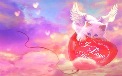 Valentine Cats Wallpapers And Backgrounds 4k Hd Dual Screen