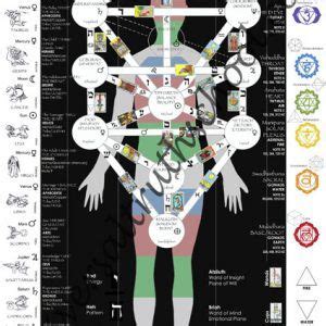 As discussed above, this free natal chart report will not be as accurate as a personal reading by a professional astrologer. Astro Chemico Physiological and Chromatic Digital Chart | Universal Truth School | Tree of life ...