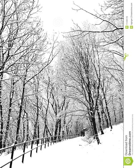 Snowy Winter Scene Stock Photo Image Of Park Weather 11440176