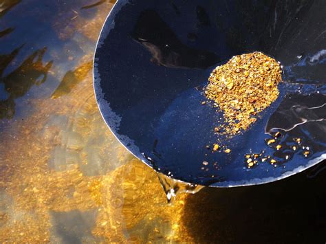 Tips Tours And 8 Places To Go Panning For Gold In Alaska