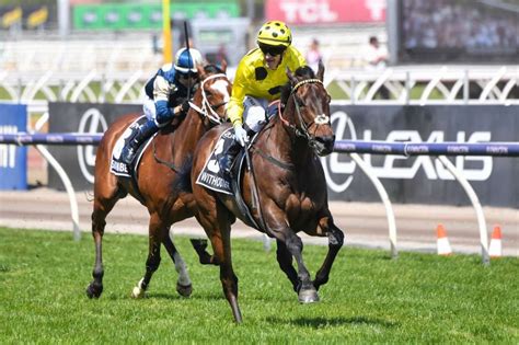Without A Fight Wins Melbourne Cup 2023 Replay