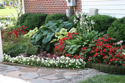 Hostas And Impatiens In The North Garden I Love Red Impatiens Paired