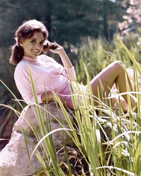 Dawn Wells Got More Letters Daily Than A Postal Office Little Known