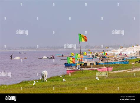Boats At Lac Rose Or Retba Lake Dakar Senegal West Africa Unesco