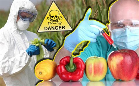 10 Deadly Problems Of Genetically Modified Foods You Need To Know