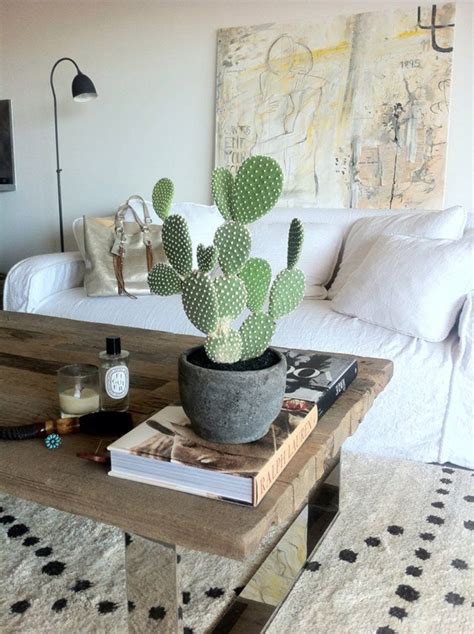 17 Indoor Cactus Gardens Home Design And Interior