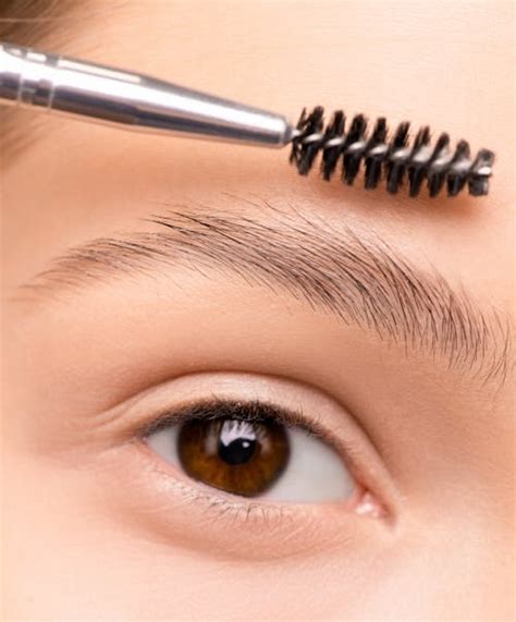 Eyebrow Photos Download The Best Free Eyebrow Stock Photos And Hd Images