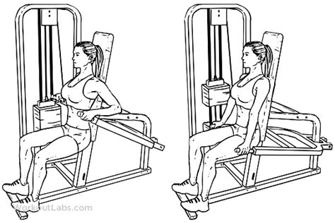 Assisted Machine Seated Tricep Dips Workoutlabs