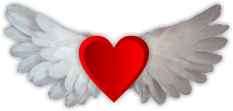 Love Love Wings Heart Png Image - Love Wings Clipart - Large Size Png png image