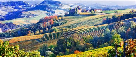 Barolo Wine Region Guide Piedmont Cellar Tours