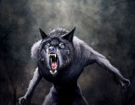 20 Interesting Facts About Werewolves You Need To Know