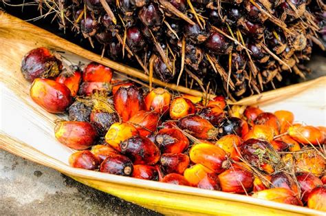 Malaysia's leading property developer, s p setia berhad is a public listed property development company in malaysia. USA: Sime Darby palm oil imports banned following AP ...
