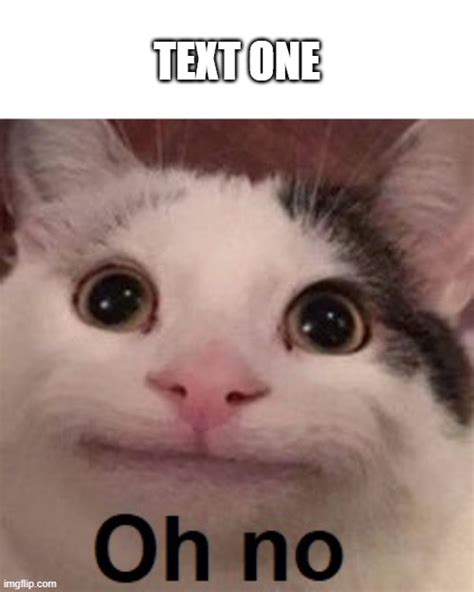 Oh No Cat Meme Template Imgflip