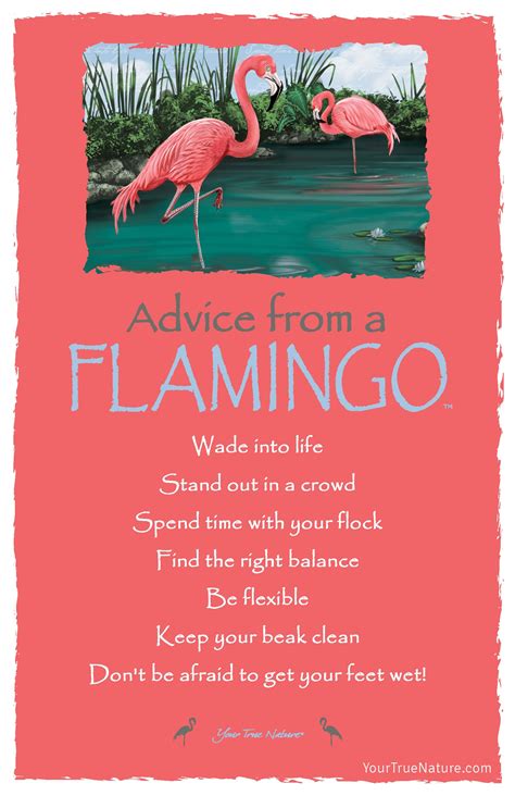 The reason birds can fly and we can't is simply because they have perfect faith, for to have faith is to have wings. Change Advice from a Flamingo: Be Flexible! Your True Nature | Advice quotes, Nature quotes ...