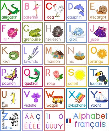 french alphabet  pictures  titles  children education stock