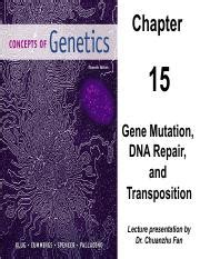 Chp Chapter Gene Mutation Dna Repair And Transposition