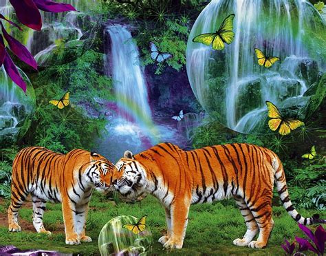 Free Download Tigers Waterfall Butterflies Cats Animal Hd