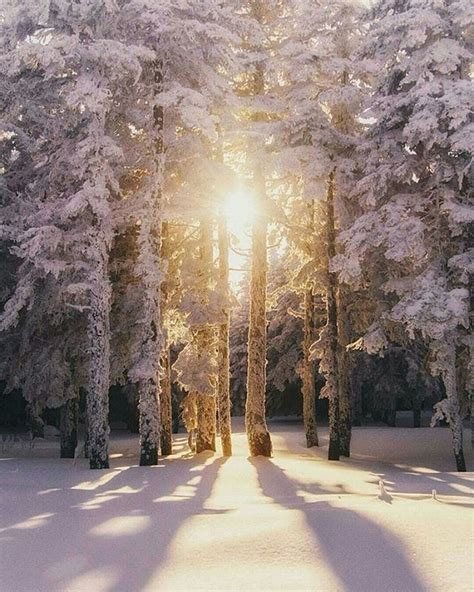 Gute Nacht Winterlandschaft Winterbilder Bilder