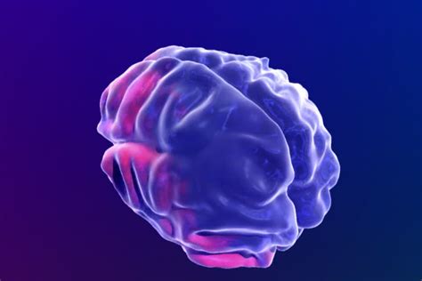 3d Render Xray Style Image Of Human Brain Rotating Stock Footage Video