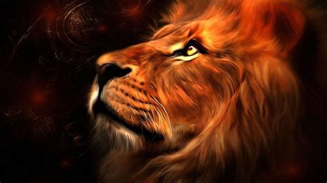 Burning Lions Hd Wallpapers Wallpaper Cave