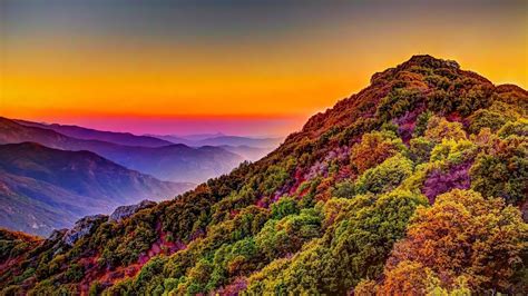 Mountain Colorful Forest Nature Sunset Scenery 4k 161 Wallpaper