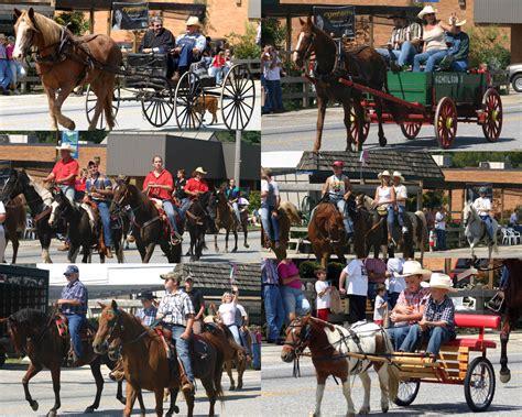 2006 Historical Calendar - Towns County Time Capsules