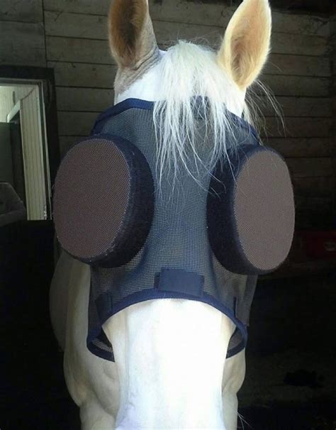 Based on the hazard and risk assessment, other body protection including chemical resistant sleeves and chemical resistant aprons may be required. Guardian Horsemask with Removable Eye Covers - Happy Horse ...