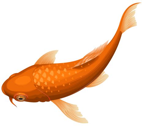 Koi Goldfish Clip Art Orange Koi Fish Transparent Clip Art Png Image