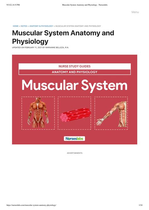 Solution Muscular System Anatomy And Physiology Nurseslabs Studypool