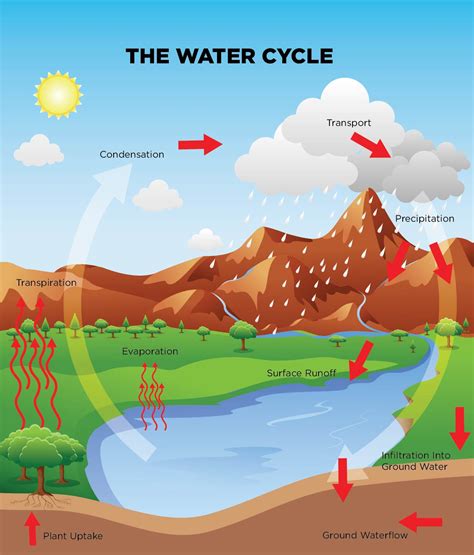 Wiring And Diagram Diagram Of Water Cycle 5th Grade