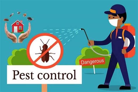 Pest Control Popular Methods Lyrics You Love