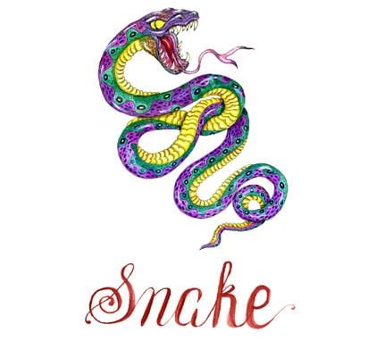 In the upcoming year of earth pig 2019, here are the sectors of your home or office that you need to take note and should minimize activities in these areas, especially major. Snake - 2018 horoscope & feng shui